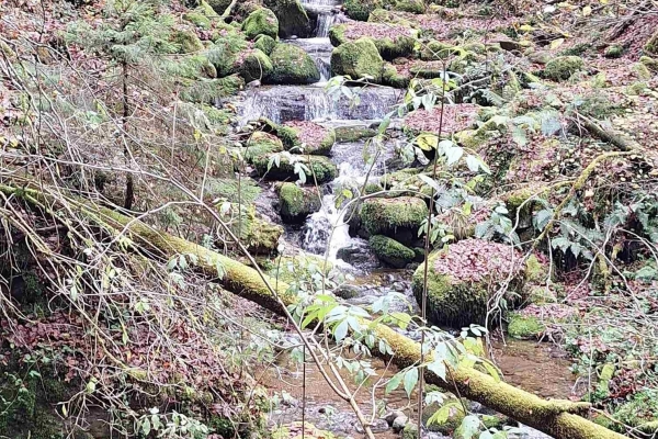 Wandererlebnis: Bach und Wasser