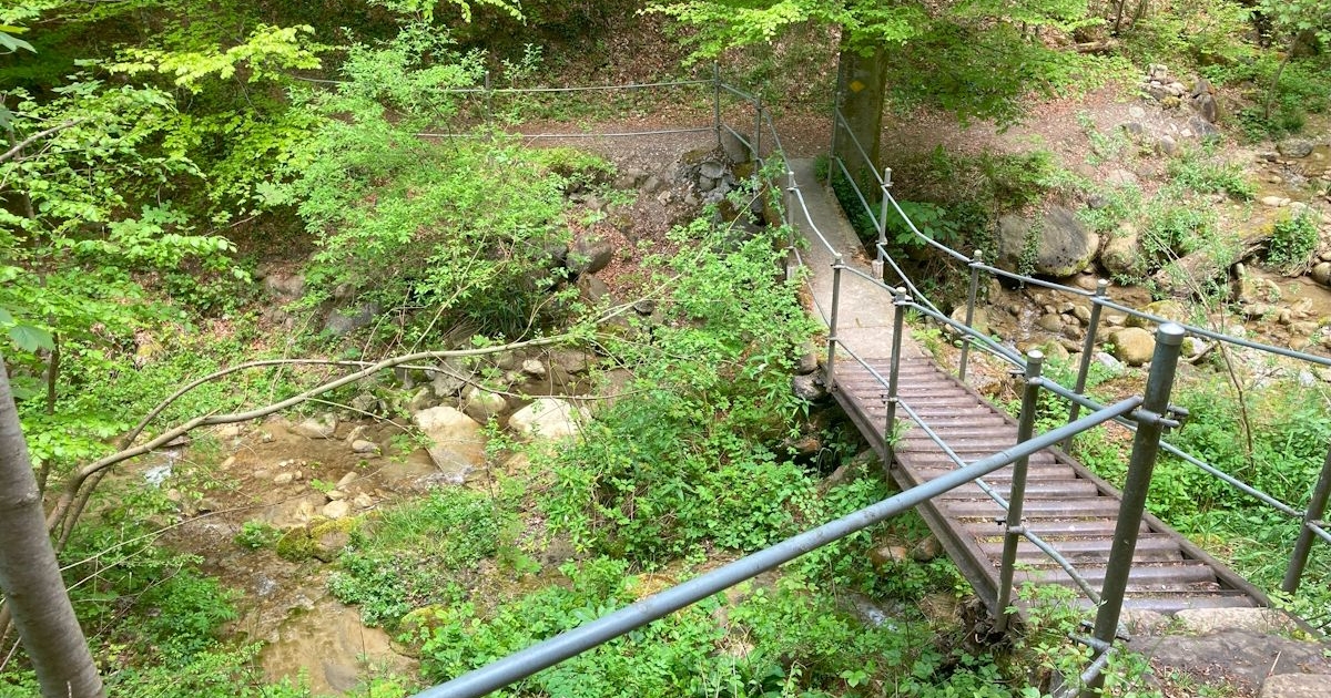 Vom unbekannten Tobel bis zum historischen Schloss