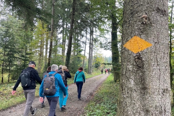 MAWanderung_2024_CarmenMeyer_IMG_5567_web