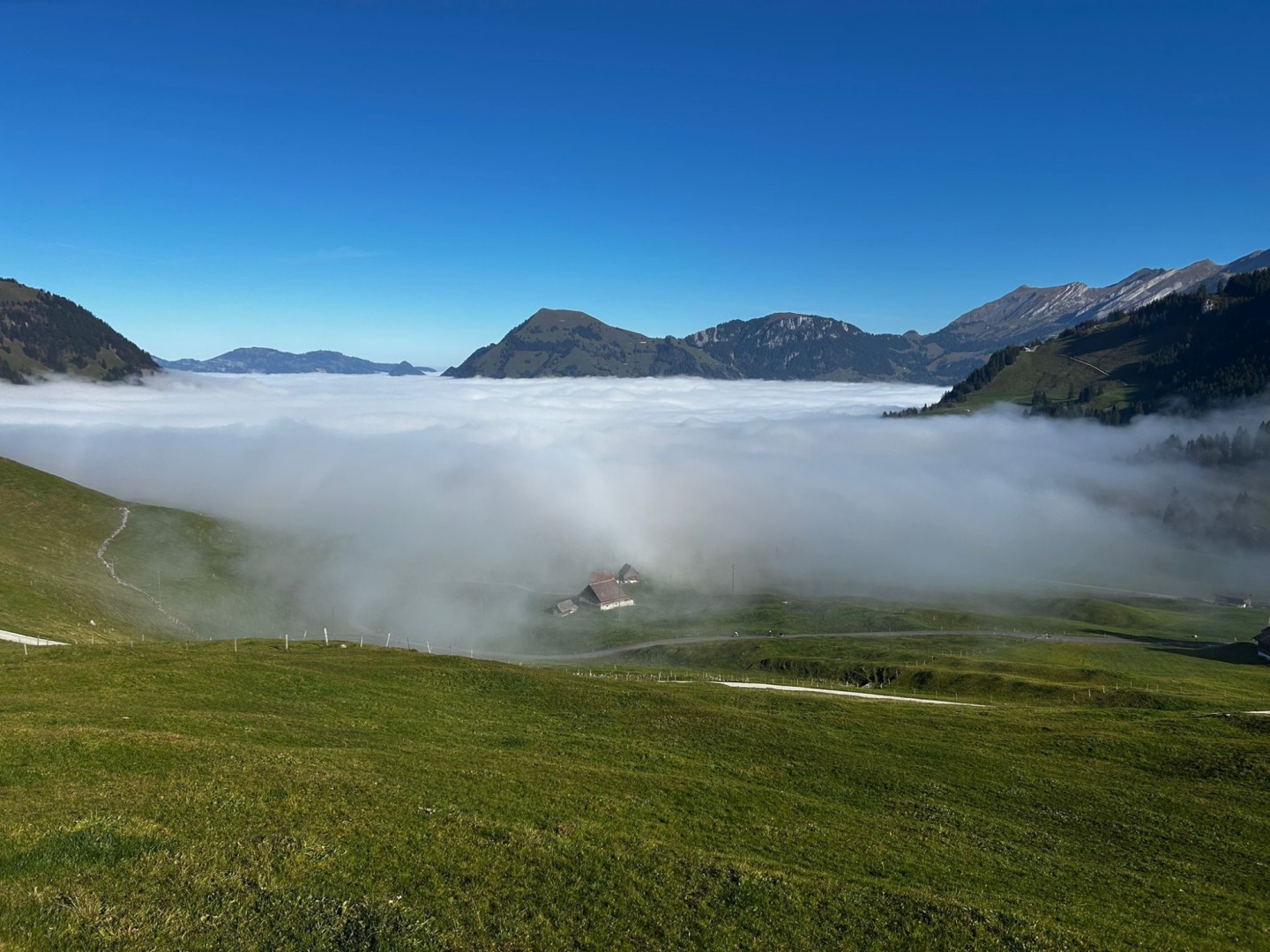 346658b8-0571-4199-97e3-b4ccb717d7c4