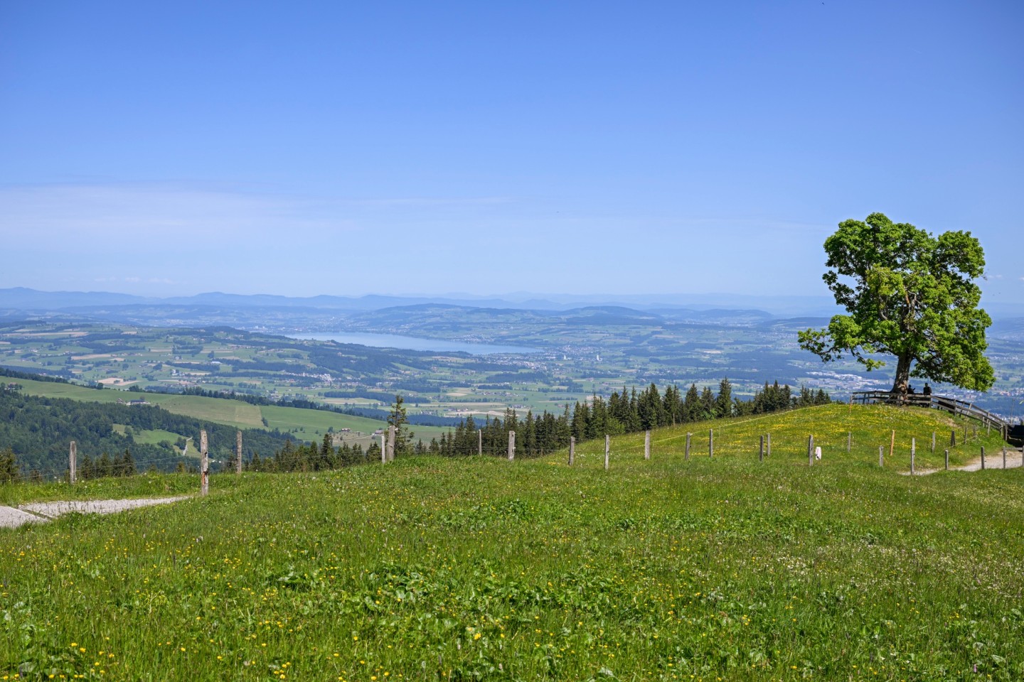 LU_Wanderwege_Headerbilder_web_DSC_5357