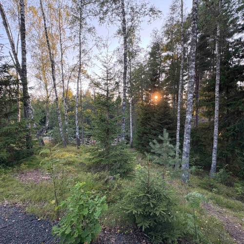 IMG_0967_Wandern_Schweden_web