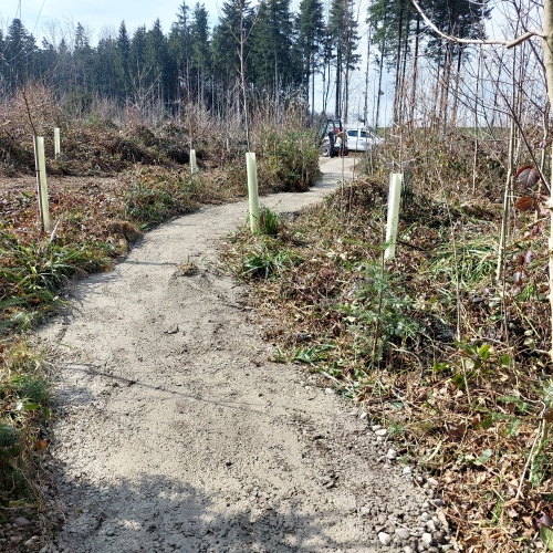 Bautrupp_Tannwald_20250311_120928