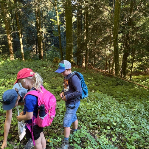 IMG_0227_Kräuterwanderung_310825_cm