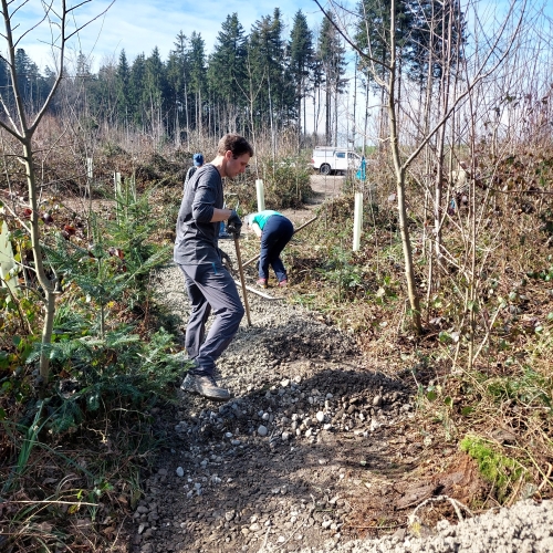 Bautrupp_Tannwald_20250311_111945