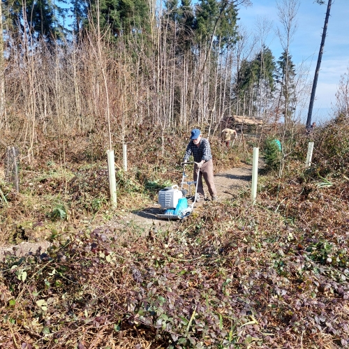 Bautrupp_Ehrenamtliche des Luzerner Bautrupps an den Arbeiten im Tannwald