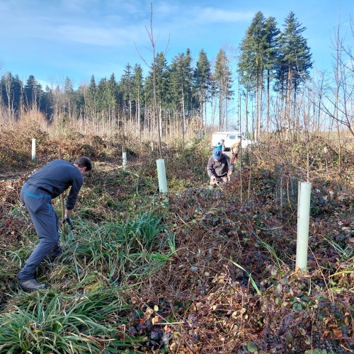 Bautrupp_Letztes Teilstück_Tannwald