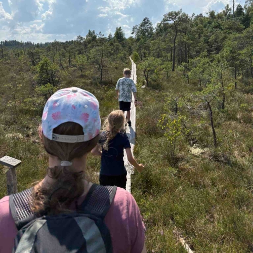 Schweden_StoreMosse_web