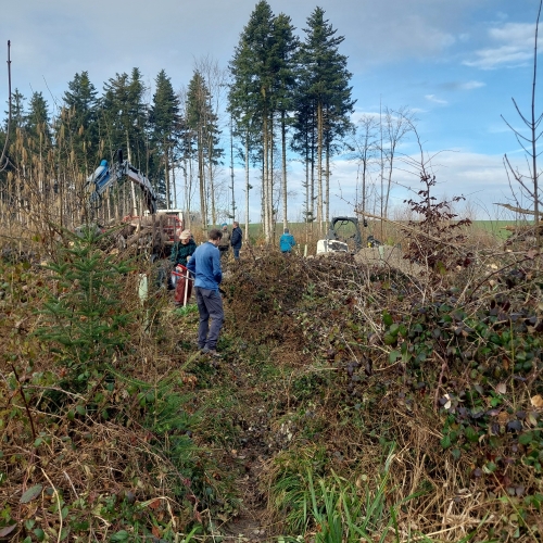 Bautrupp_Tannwald_20250311_082954