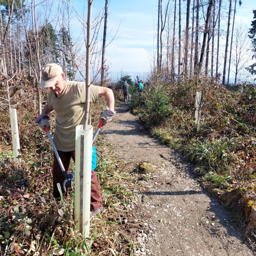 Bautrupp_Tannwald_20250311_110625