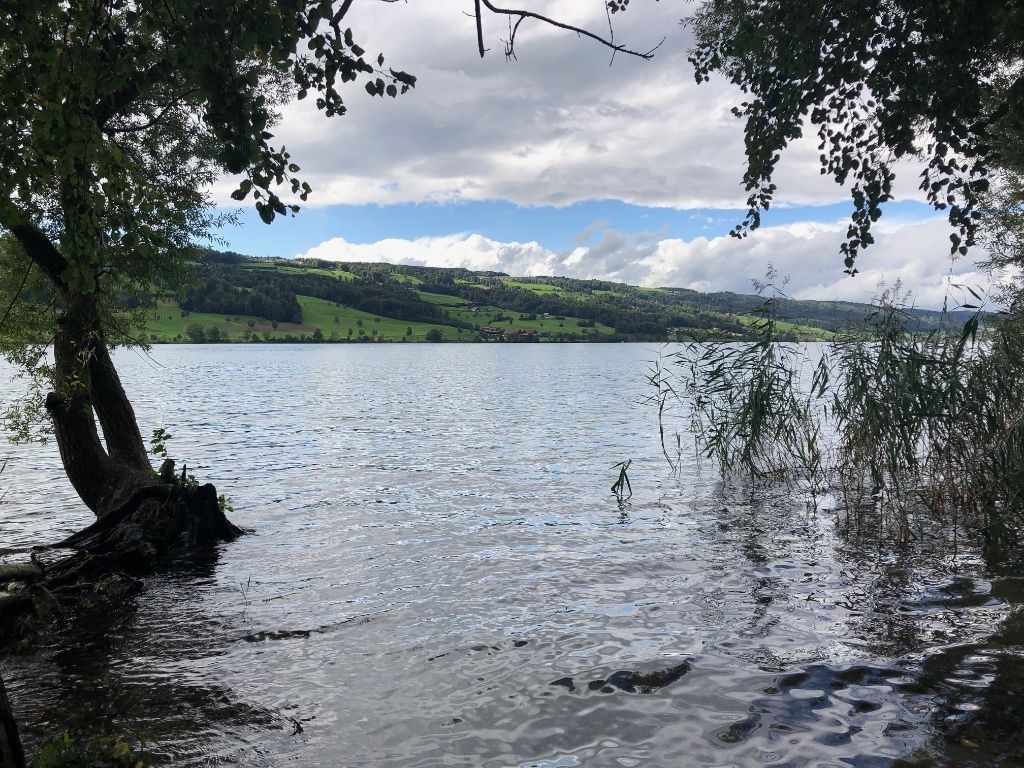 Blick auf den Baldeggersee