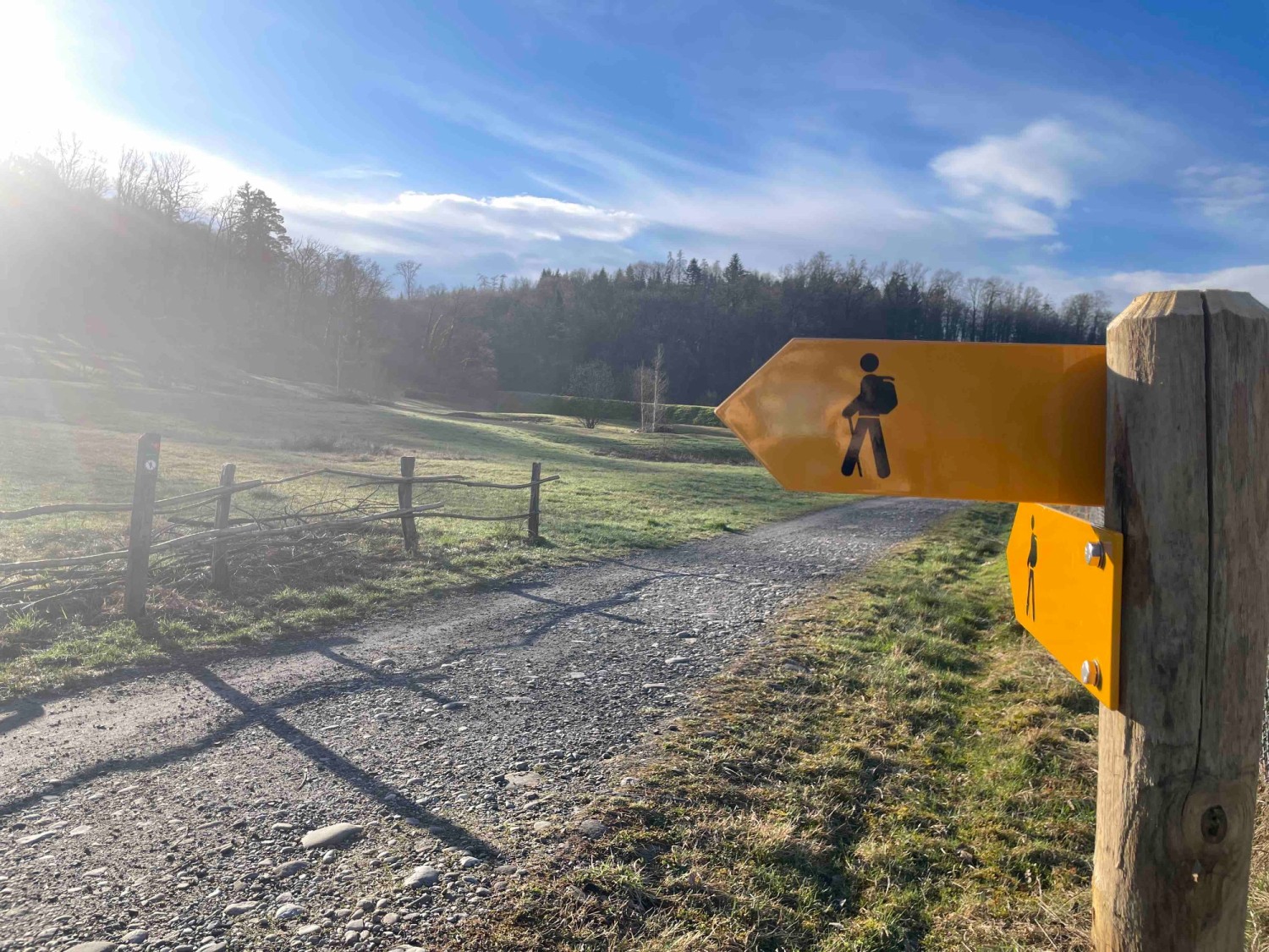 Naturschutzgebiet Allmend: Diverse Wege und Pfade laden zum Entdecken ein