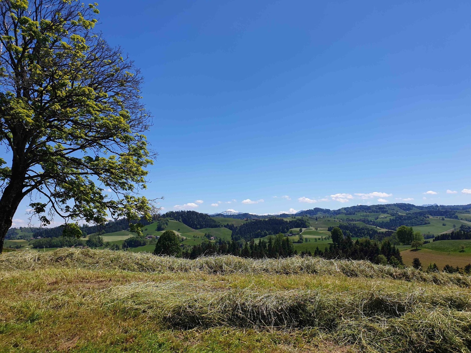 Weitsicht ins Napfgebiet