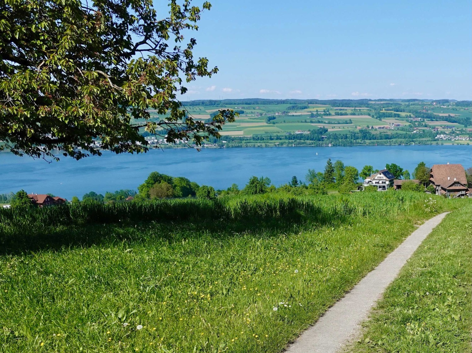 Blick über den Sempachersee