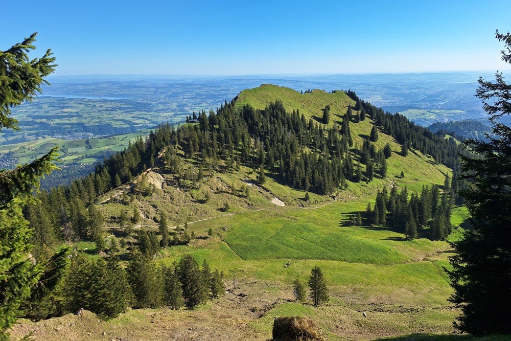 Blick vom Studberg zum Rägeflüeli