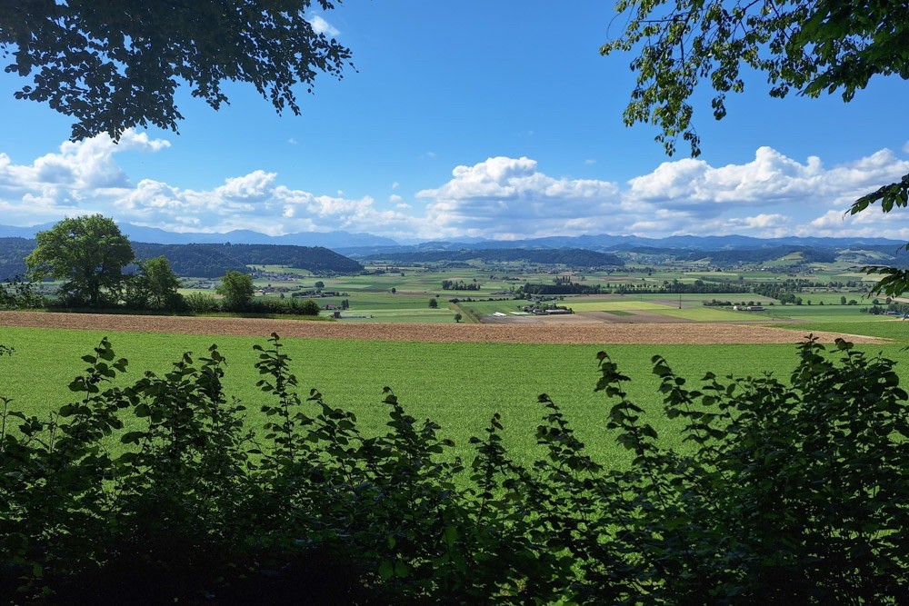 Blick über das Wauwilermoos