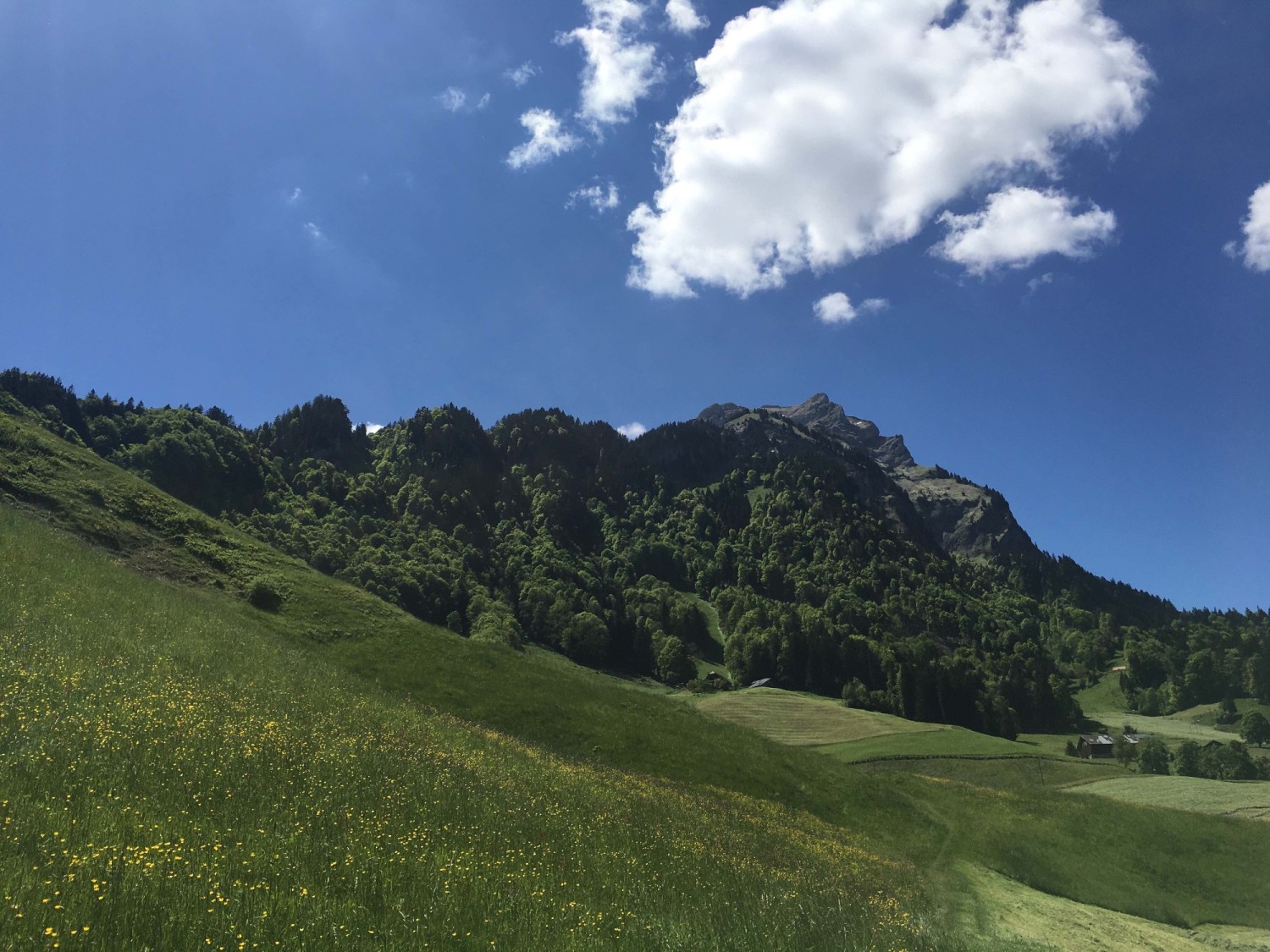 Ziel in Sicht: Blick zum Chrummhorn / Pilatus