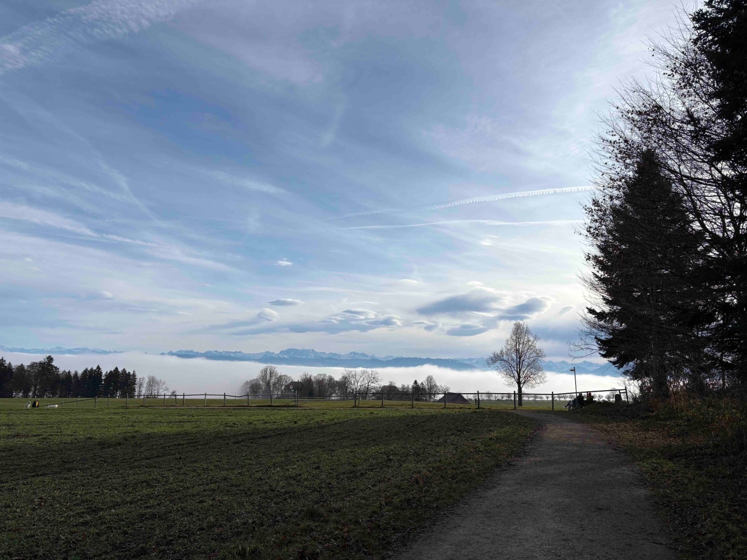 Oberhalb Horben: Je nach Wetter Blick auf den See oder das Nebelmeer