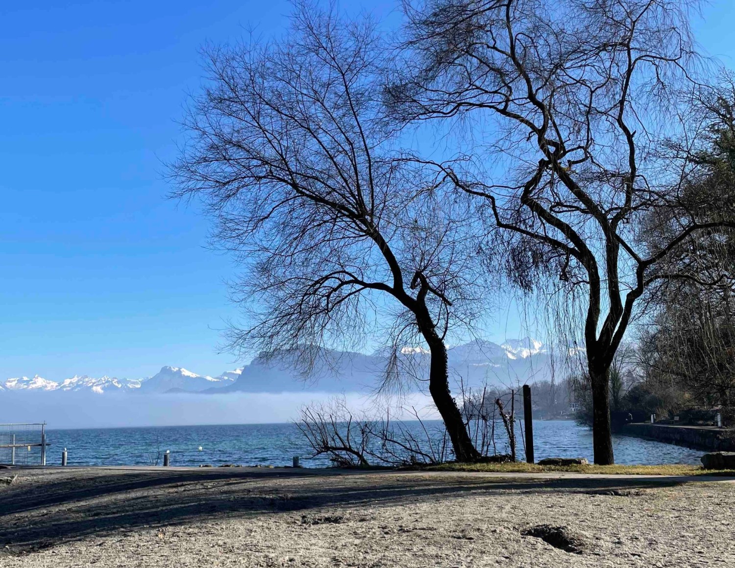 Bei der Tribschenbadi im Winter: Ruhe pur