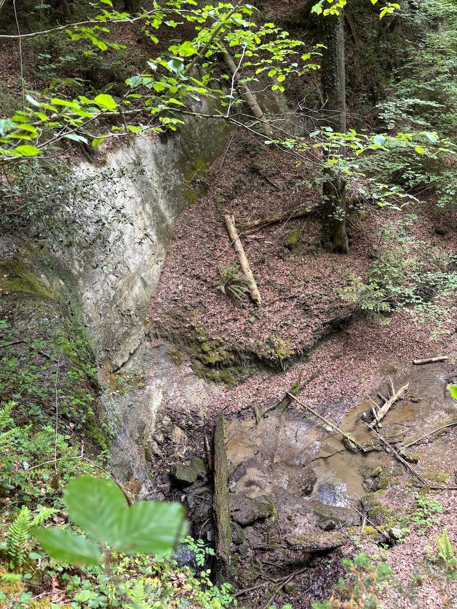 Entschleunigen vor der Haustüre: Von Inwil nach Eschenbach