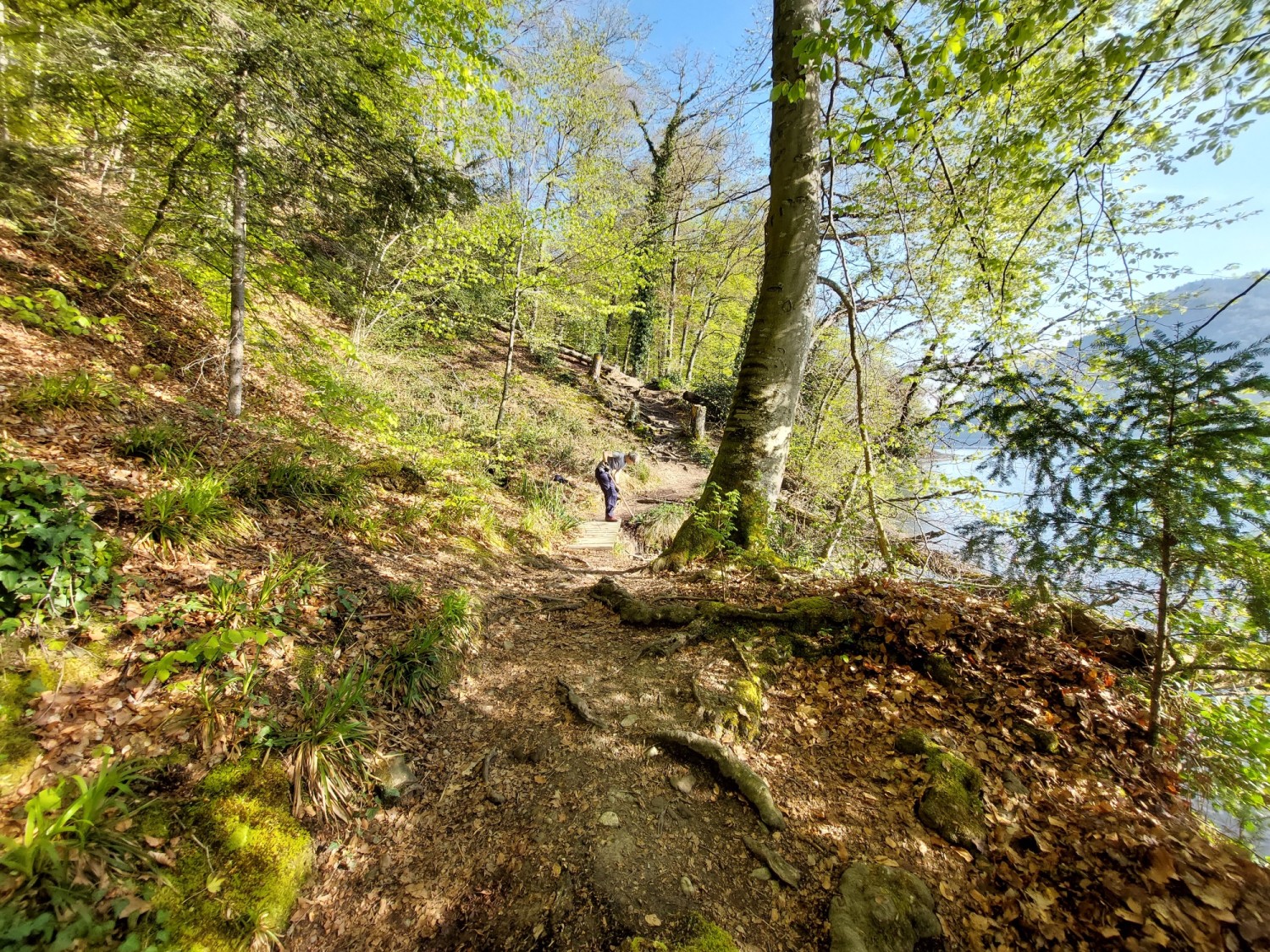 Der Bautrupp der Luzerner Wanderwege setzte den Seeuferweg kürzlich instand.