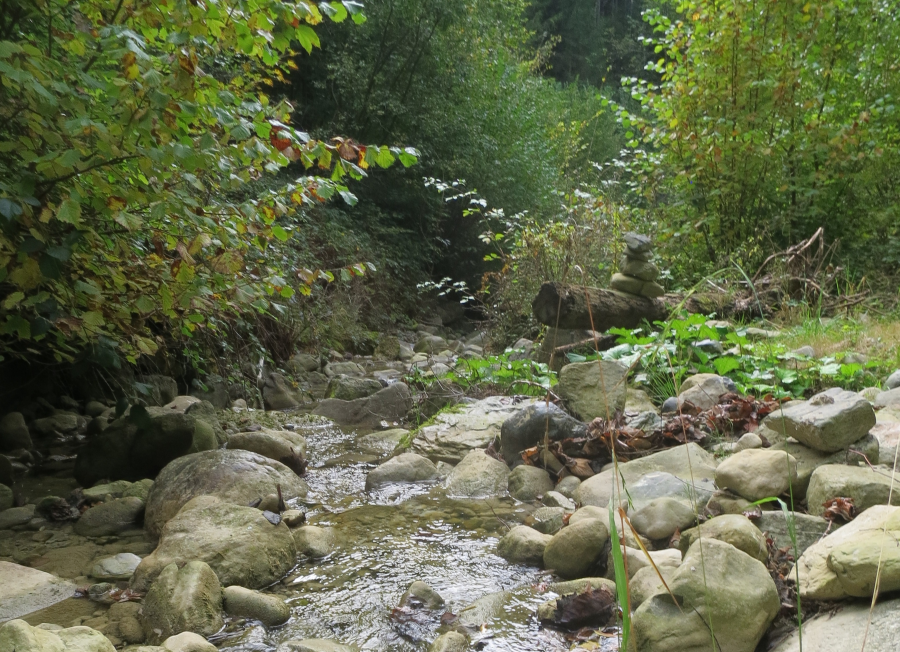 Natur pur im Gitzitobel