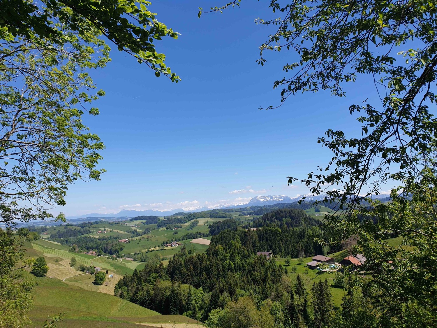 Wunderschöner Ausblick in die Zentralschweizer Alpen