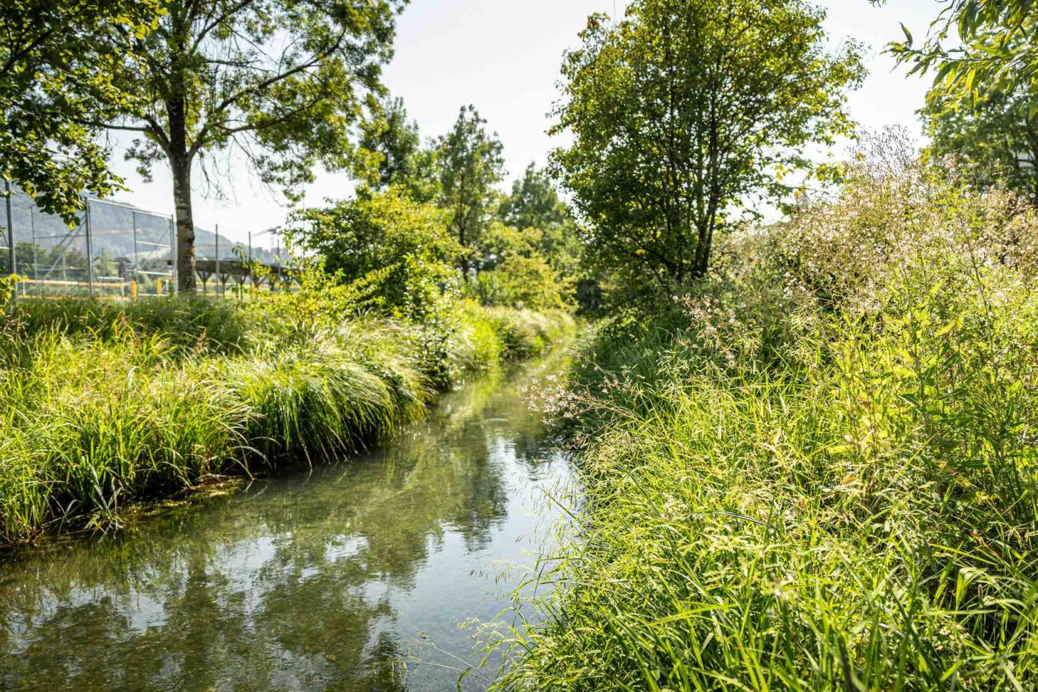 Genussvolles Wandern entlang der Ron