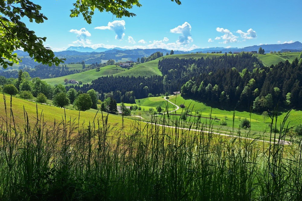 Wandertrophy: Aussicht vom Ämmehorn